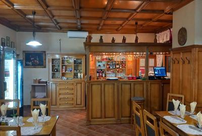 Spațiu comercial, în Micălaca - 8