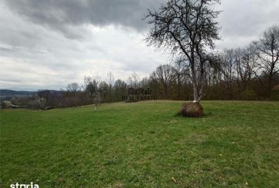 Teren de 9370 mp, în Baia de Criș - 4