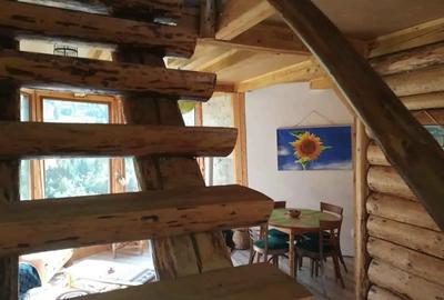 Casă individuală cu 2 camere cu Teren 1300 Mp în Prisaca Dornei - 4