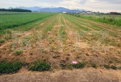 Teren de 4350 mp, în Stupini