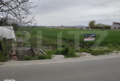 Spațiu comercial, în Podgoria - 3
