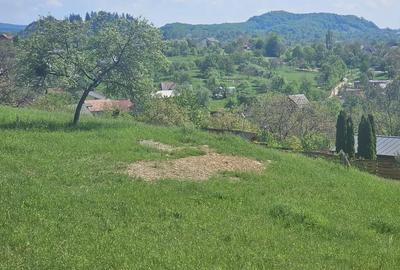 Casă cu 6 camere în Dănești - 4