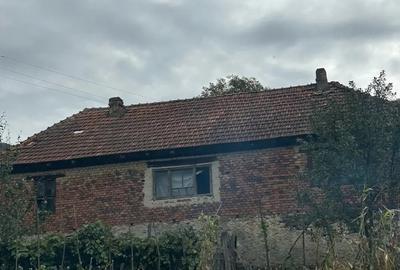 Casă cu 3 camere cu Teren 1500 Mp în Bogâltin - 1