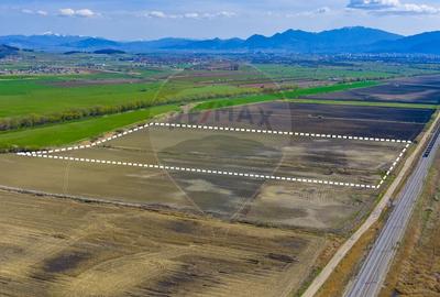 Teren agricol extravilan de 92000 mp, în Bod - 7