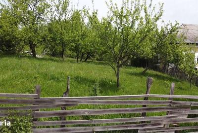 Teren de 1070 mp, în Berevoești - 4