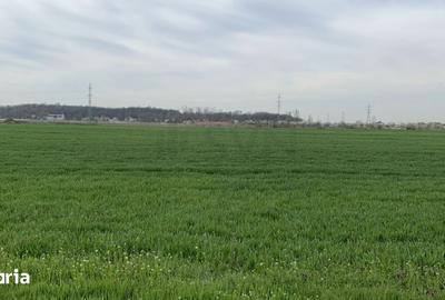 Teren de 16573 mp, în Central