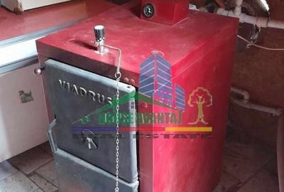 Casă cu 4 camere cu Teren 449 Mp în Rucăreni