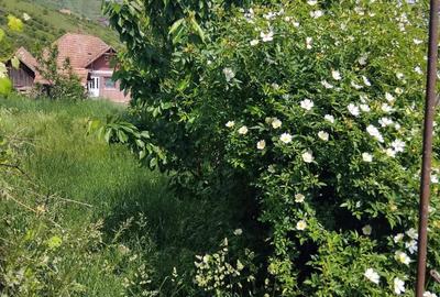 Casă cu 1 camere cu Teren 900 Mp în Dezmir - 8