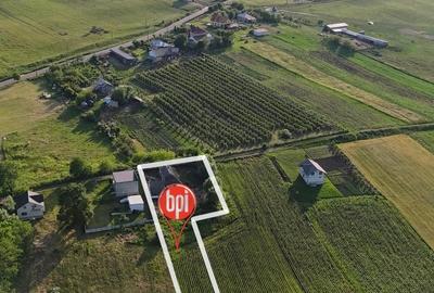 Teren Construcții intravilan de 2000 mp, în Hreațca - 9