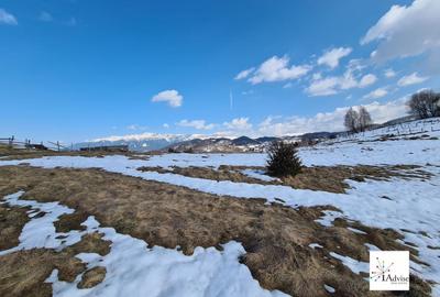 Teren Construcții extravilan de 150000 mp, în Șirnea - 25