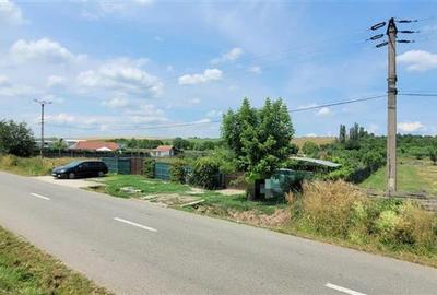Casă individuală cu 3 camere cu Teren 3100 Mp în Șura Mică - 3