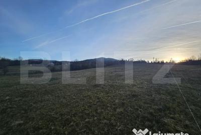 Teren de 16667 mp, în Abrud-Sat - 4