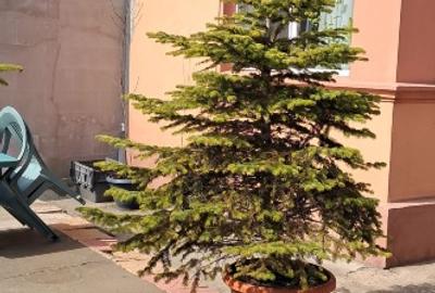 Spațiu comercial, 80 mp în Gara - 14