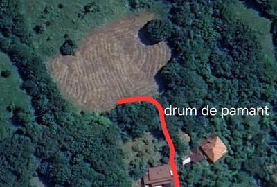 Teren de 3312 mp, în Posada - 1