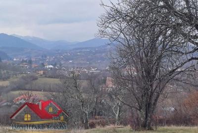 Teren Construcții intravilan de 3000 mp, în Vest - 7