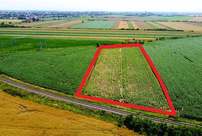 Teren agricol extravilan de 5000 mp, în Botizului - 4