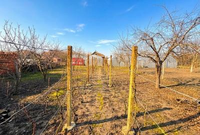 Casă individuală cu 3 camere cu Canalizare în Ciacova - 3