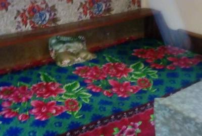 Casă cu 2 camere în Tălagiu - 3