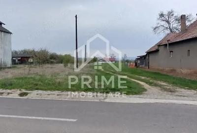 Teren de 5700 mp, în Teiu - 1