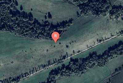 Teren agricol extravilan de 29200 mp, în Cincșor - 4