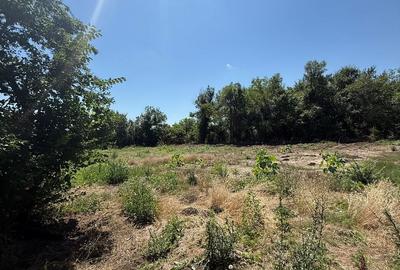 Teren de 1000 mp, în Ileana