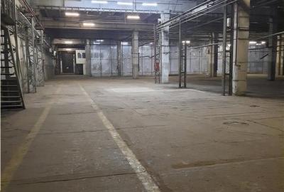 Spațiu industrial, de 2,500 mp, în Est - 4
