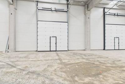 Spațiu industrial, de 200 mp, în Săcălaz - 2