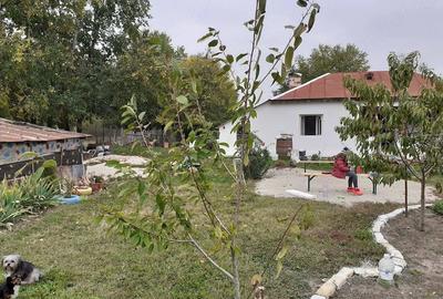 Casă cu Teren 1592 Mp în Schitu - 4