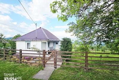 Casă cu 2 camere cu Teren 8800 Mp în Gurahonț - 6