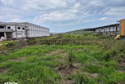 Teren de 9600 mp, în Central