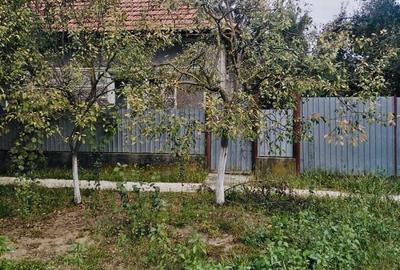 Casă cu 3 camere în Șepreuș - 3