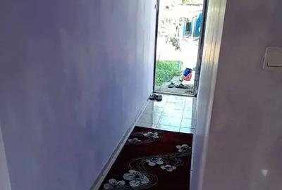Casă cu 3 camere cu Teren 3850 Mp în Mitoc - 8