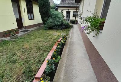 Casă cu 5 camere cu Teren 767 Mp în Buziașului