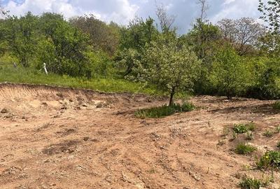 Teren de 2000 mp, în Brebu