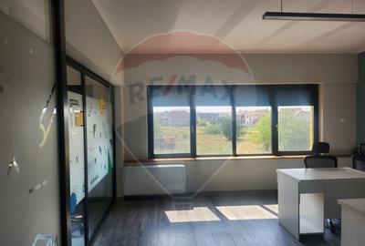 Birou, de 23 mp, în Nufărul - 5