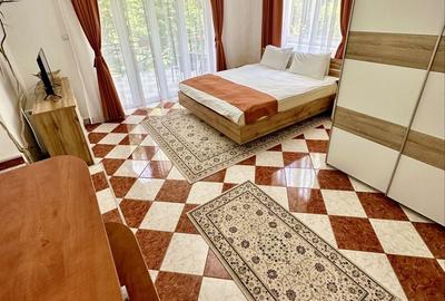 Spațiu comercial, de 440 mp, în Răgman - 8