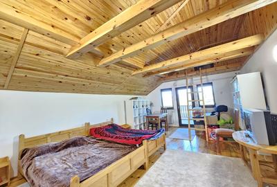 Casă individuală cu 7 camere cu Teren 1858 Mp în Vintilă Vodă - 29