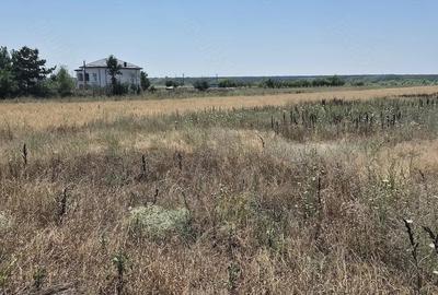 Teren de 3700 mp, în Sadina - 4