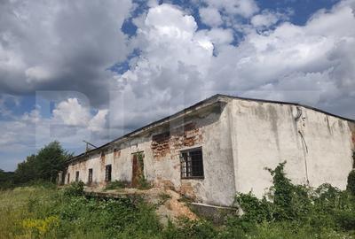 Teren Construcții intravilan de 8000 mp, în Dragomirești