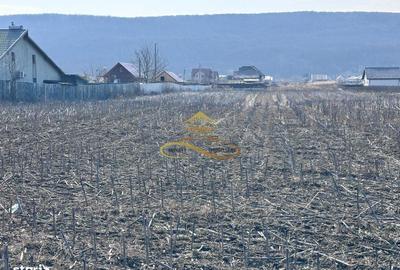 Spațiu comercial, în Hemeiuș - 4