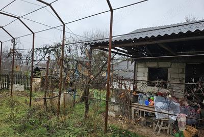 Gospodarie cu 2 case Comuna Trivale Mosteni, sat , la 30 km de Alexandria, jude?ul Teleorman - 3