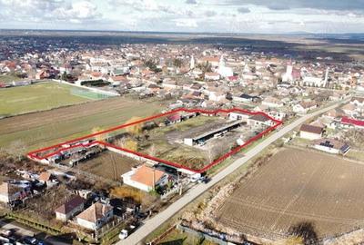 Teren in suprafata de 7774 intravilan | Constructi in suprafata de 1029 mp - 1