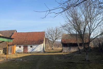 Casă cu 3 camere în Sâncel - 1