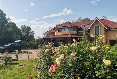 Vilă de lux mobilata/utilata cu terasa+foisor, garaj,gradina si livada - 6
