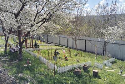 Casă cu 3 camere cu Teren 13000 Mp în Stănița - 1