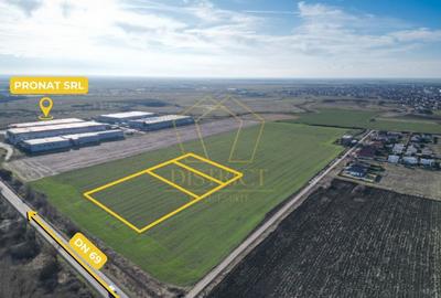 Teren Construcții intravilan de 2000 mp, în Sânandrei - 3