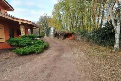 Teren cu Casa BONUS deschidere la Lacul Snagov - 9
