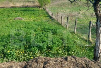 Teren intravilan/extravilan - 6