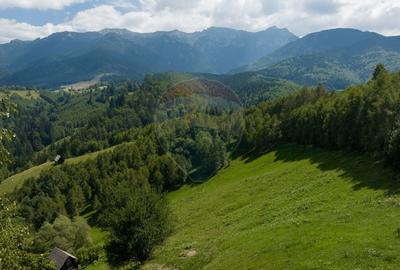 Teren Panoramic in Bran – Vedere spre Bucegi & Piatra Craiului - 11