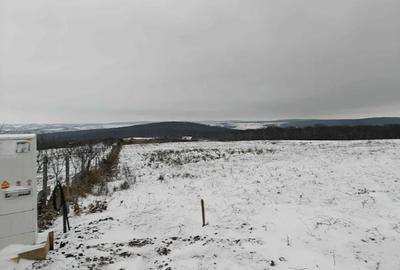 Teren intravilan 3.000 mp – 8 min de Oradea, Săldăbagiu de Munte - 10
